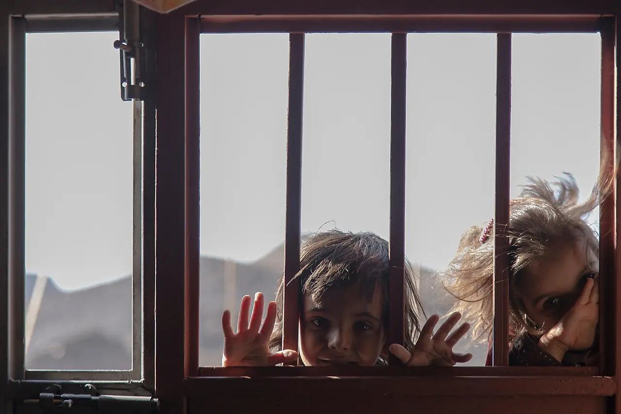 小九直播