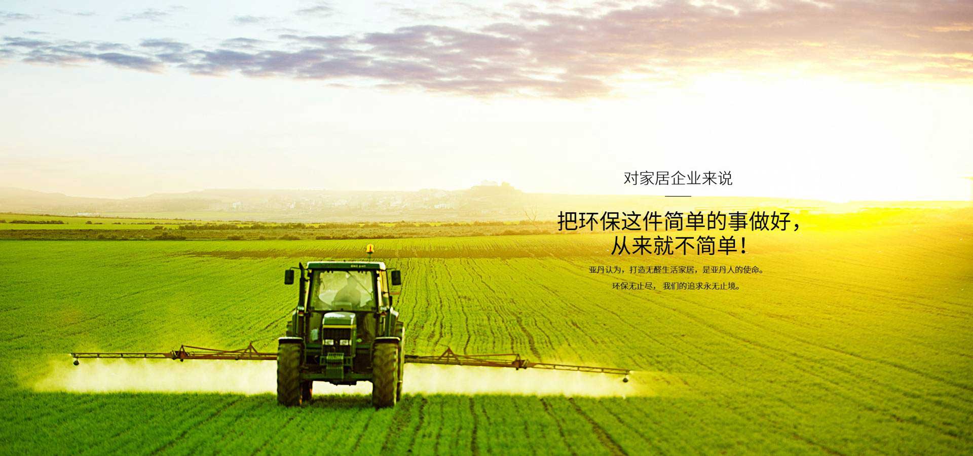 小九直播